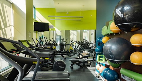 a room filled with lots of cardio equipment and weights